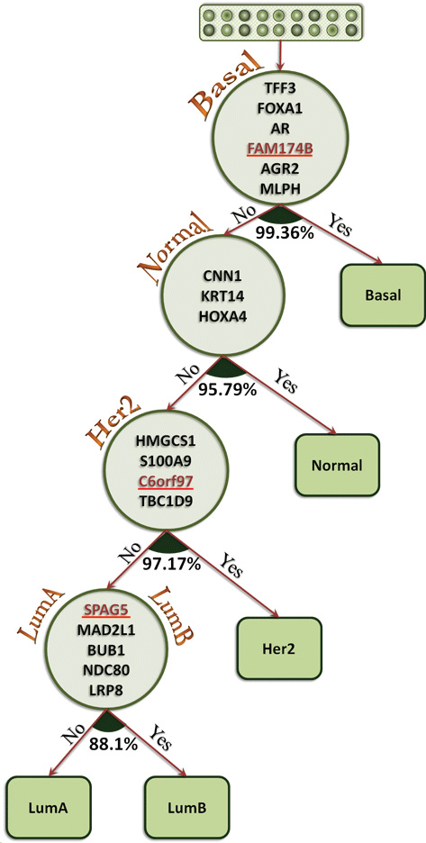 Breast cancer subtypes classification tree