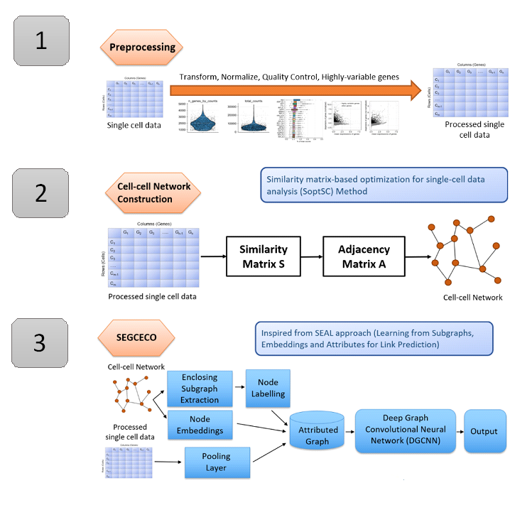 SEGCECO pipeline for cell-cell communication prediction